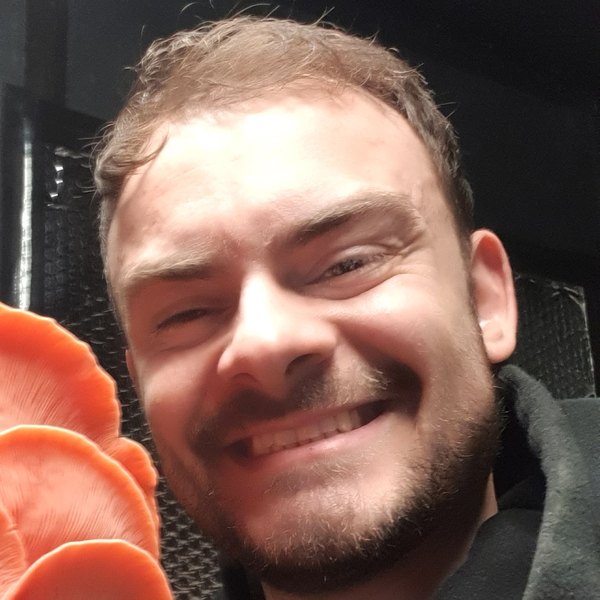 Sam Keeley, founder of Mycotek Farms, holding a fresh pink oyster mushroom cluster in his Essex grow room